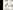 Product image #7