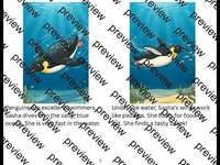 Product image #7