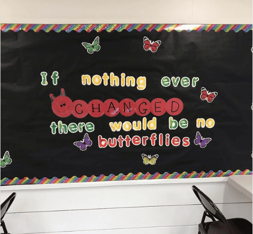 butterfly bulletin board