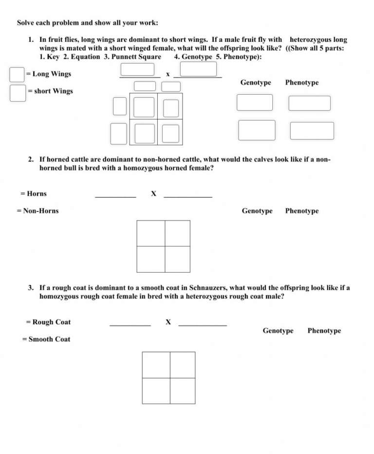 9 Hands-On Worksheet Punnett Square Worksheet - The Teach Simple Blog