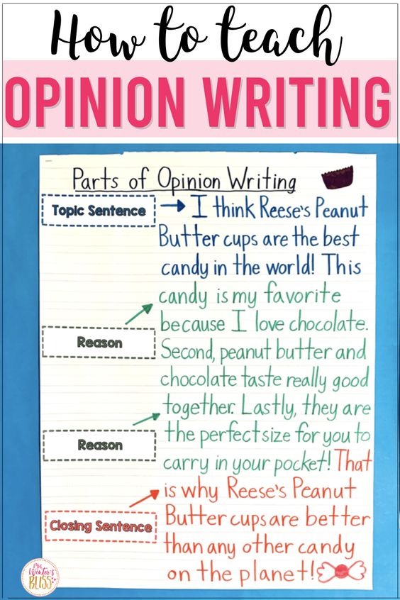 opinion writing essay anchor chart