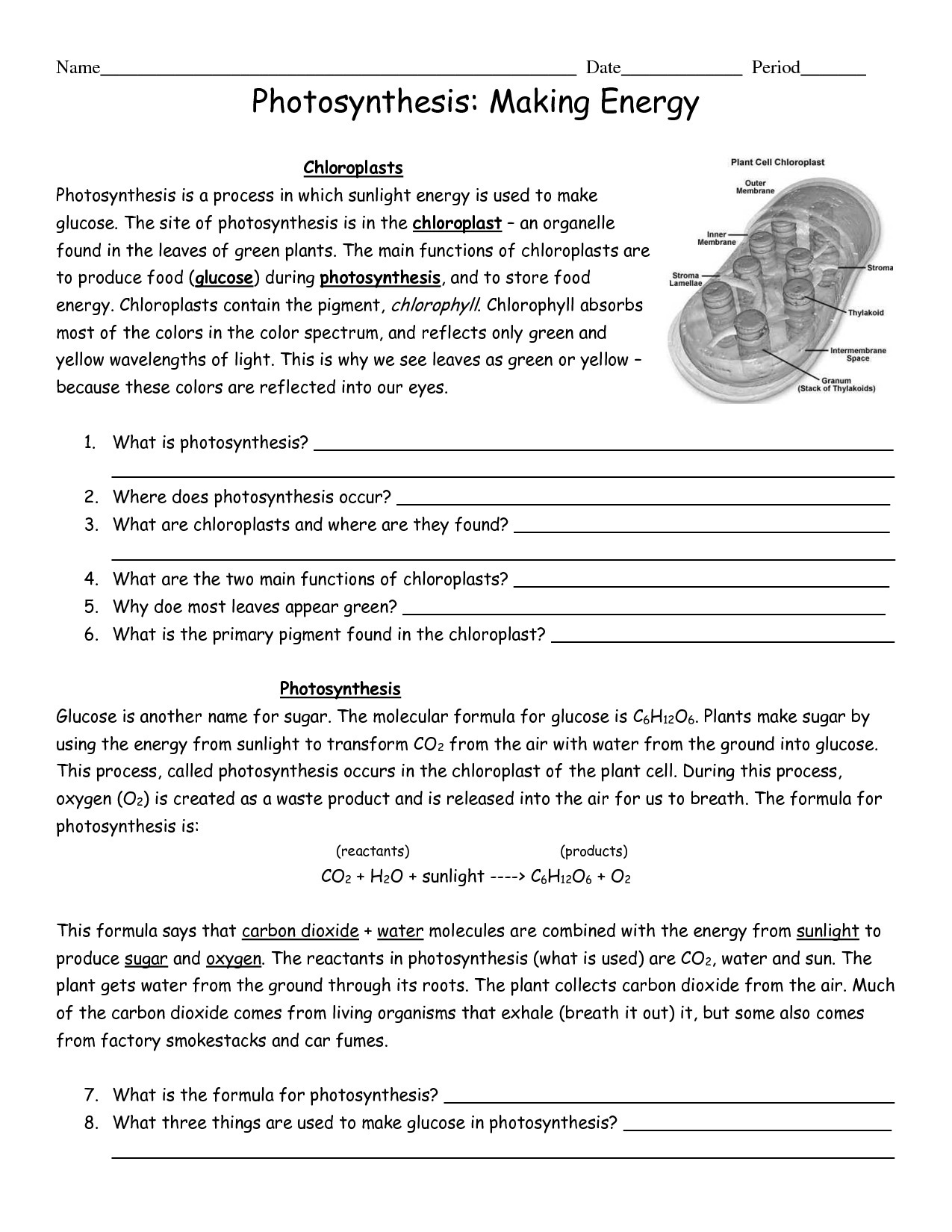 grade 4 photosynthesis worksheet