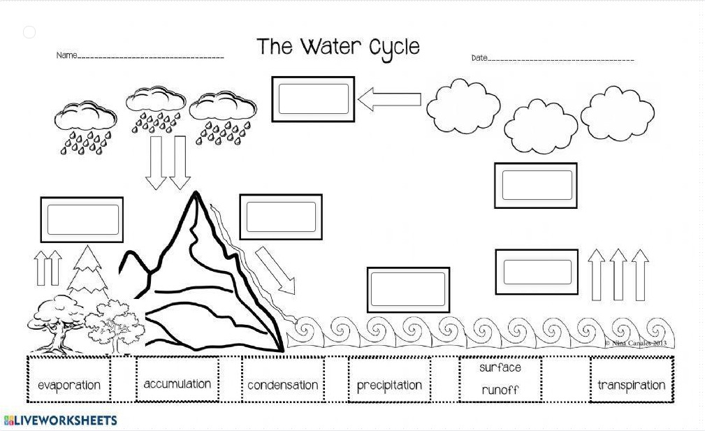 water cycle worksheet grade 8