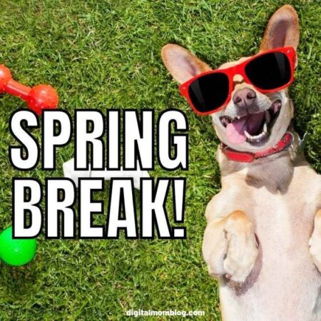 35 Teachers on Spring Break Memes To Brighten Up Your Day