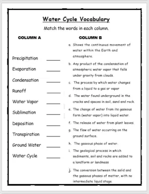 water cycle worksheet grade 8