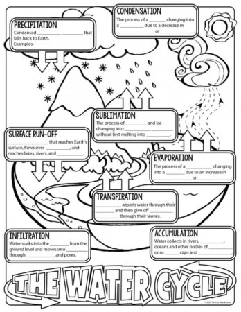 The Amazing Water Cycle: 9 Best Interactive Worksheets For Kids - The 